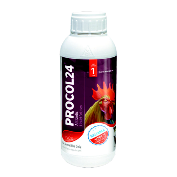PROCOL24