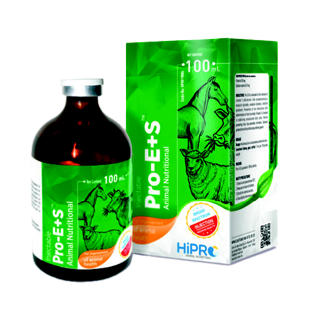 PRO-E+S
