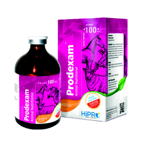 PRODEXAM